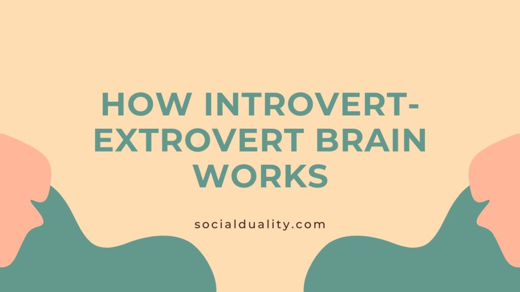 How Introvert-Extrovert Brain Works