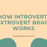 How Introvert-Extrovert Brain Works