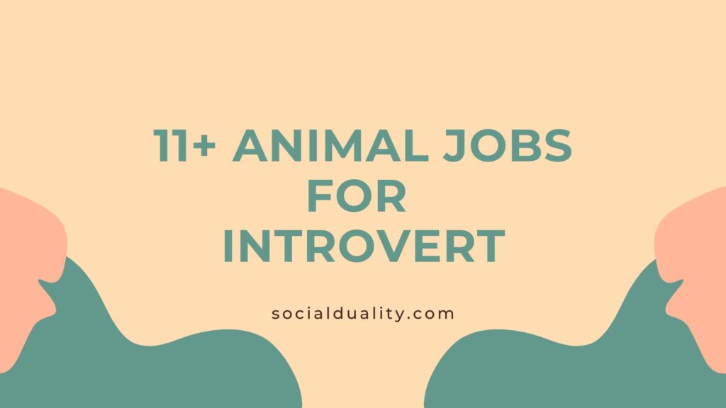 Animal Jobs For Introvert