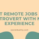 Best Remote Jobs For Introvert with No Experience