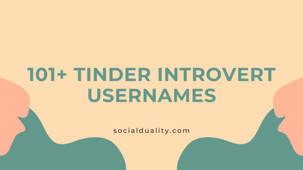 Tinder Introvert Usernames