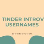 Tinder Introvert Usernames